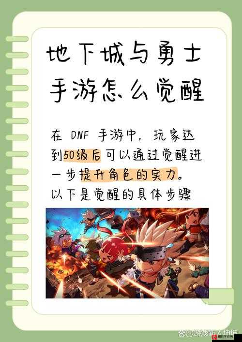 DNF手游高强垫子全解析，含义、作用及对角色战斗力与通关效率的影响